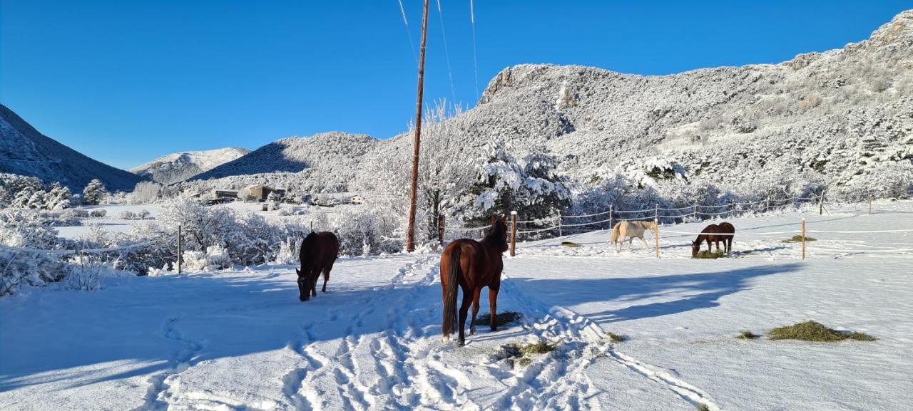 Haras De Seranon Villa Dış mekan fotoğraf